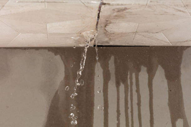 Professional Water Damage Inspection technician working in Shepherd, TX